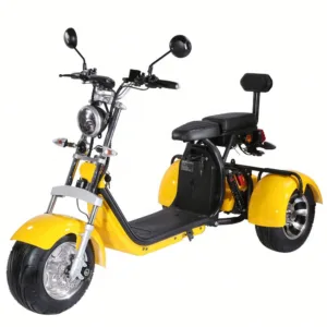 CP-3.0 Unisex 2 Seat Adult Electric Moped Scooter Citycoco