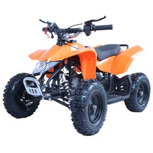 ATV-6 49CC Pull Start Gasoline ATV