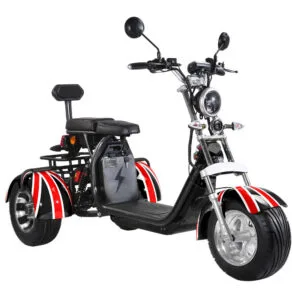 CP-3.0 Unisex 2 Seat Adult Electric Moped Scooter Citycoco