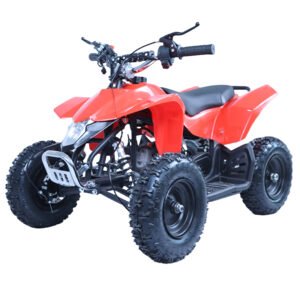 ATV-6 49CC Pull Start Gasoline ATV