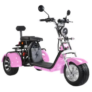 CP-3.0 Unisex 2 Seat Adult Electric Moped Scooter Citycoco