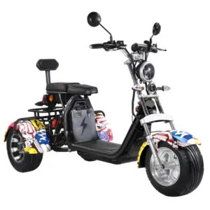 CP-3.0 Unisex 2 Seat Adult Electric Moped Scooter Citycoco
