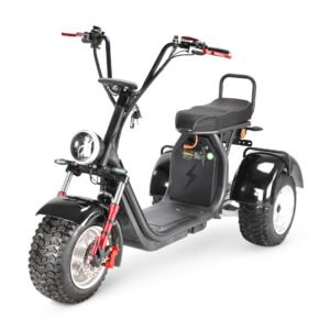 CP-7.2 EEC/DOT Electric Scooter Citycoco