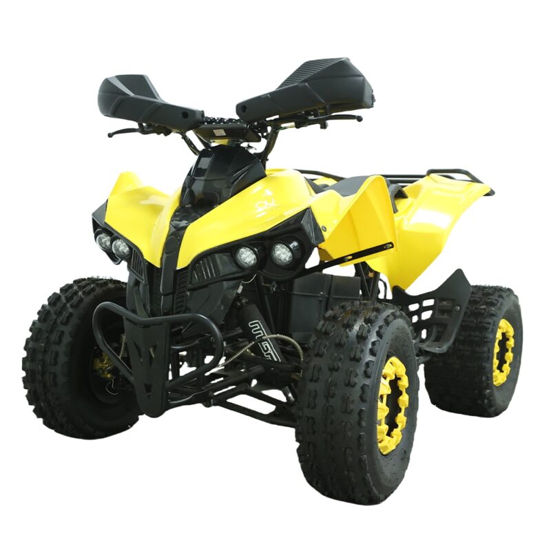 EATV-014 50km/h Kids Off Road Electric ATV for Sale