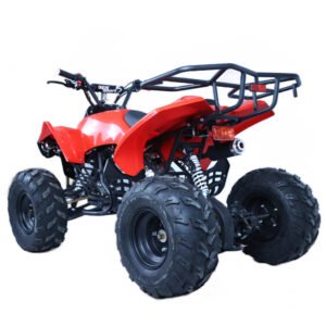 ATV-8 125CC Off Road Quad Bike ATV