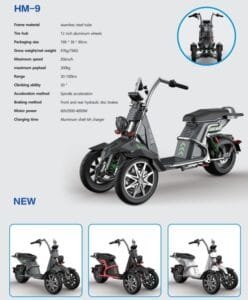 The Valtinsu HM-9 is a fashionable and high-performance 3-wheel electric tricycle.