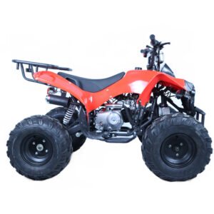 ATV-8 125CC Off Road Quad Bike ATV