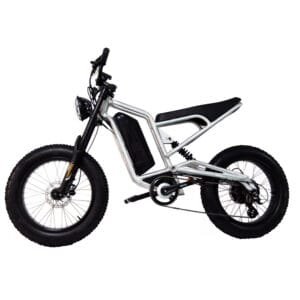 E BIKE EBA216