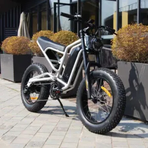 EBA216 Cheap 48V 500W Specialized Ebike Electric Bike for Sale