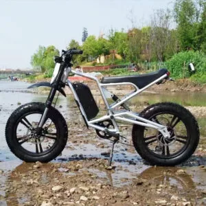 EBA216 Cheap 48V 500W Specialized Ebike Electric Bike for Sale