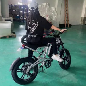 EBA216 Cheap 48V 500W Specialized Ebike Electric Bike for Sale