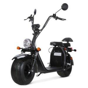 CP-1.3 Electric Scooter Mopeds Citycoco for Adults