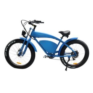 EBA205 blue electric bike for sale