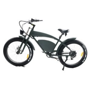 EBA205 grey electric bike for sale