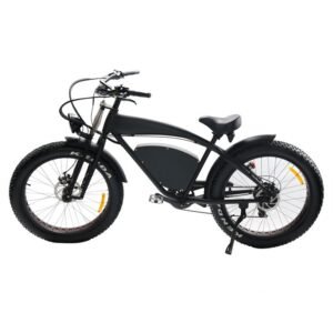 EBA205 electric bike for sale