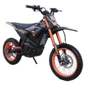 Cool Stylish Electric Off-road Adult Motorcycle Dirt Bike EM-5