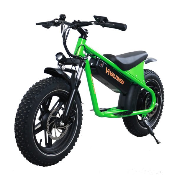 Fat Tire Ebike DSM-M