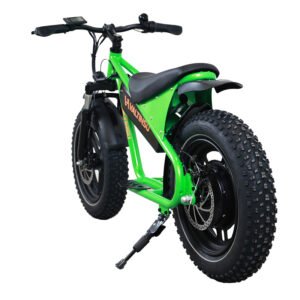 Fat Tire Ebike DSM-M