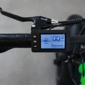 Fat Tire Ebike DSM-M
