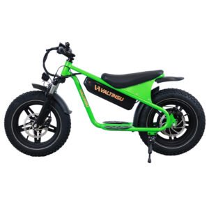 Fat Tire Ebike DSM-M